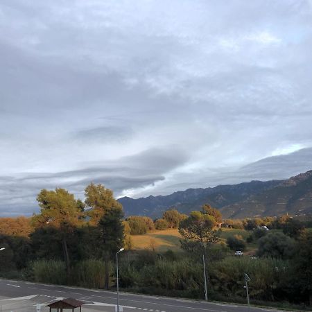 Superbe Appartement Vue Montagne Proximites Grandes Surfaces Poggi Dış mekan fotoğraf